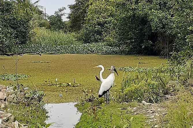 Belize City Culture, Nature, Rum tasting, V.i.V. - Why this short Belize City tour works
