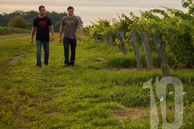 Between The Lines Classic Wine Tasting - Why the $18.78 price can be good value