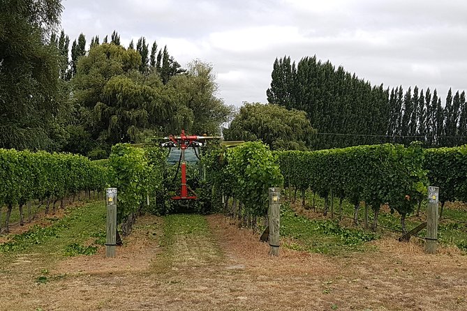Beyond the Vines - Full-Day Marlborough Wine Tasting Tour - Small groups make the day easier