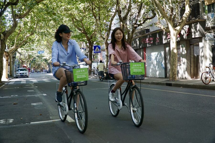 Biking Real Shanghai& Tea Tasting Experience - Tea tasting and the final lesson