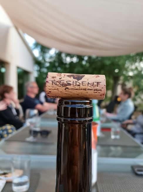 Binissalem: Individual vineyard tour and wine tasting in German - Starting at the vineyard gate in Binissalem