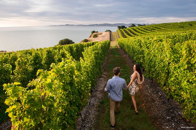Blenheim Half day Wine Tour - From Famous Names to Small Family Wineries
