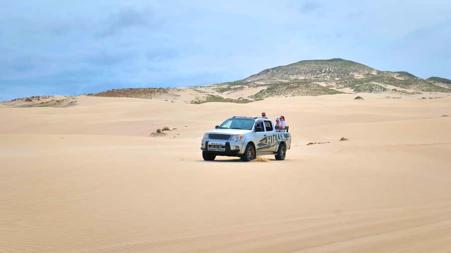 Boa Vista: Shark, Turtles, Cave, Sandboarding & Tasting Tour - Morro de Arreia: Your First Run on the Sand