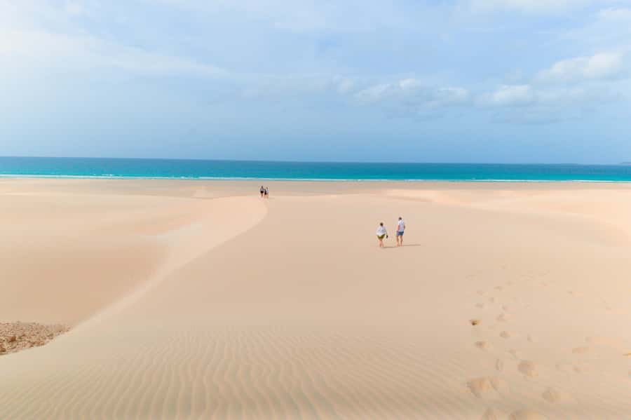 Boa Vista: Shark, Turtles, Cave, Sandboarding & Tasting Tour - Who Should Book This Boa Vista Tour?