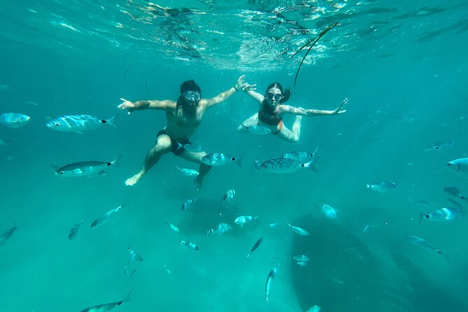 Boat Tour at Devil's Saddle: 4 Swim Stops, Snorkeling & Prosecco - Cala Bernat: an easy first swim