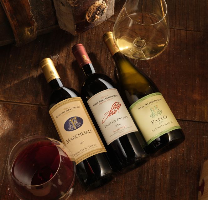 Bolgheri: Winery Tour with Wine Tasting - Should you book Terre del Marchesato?