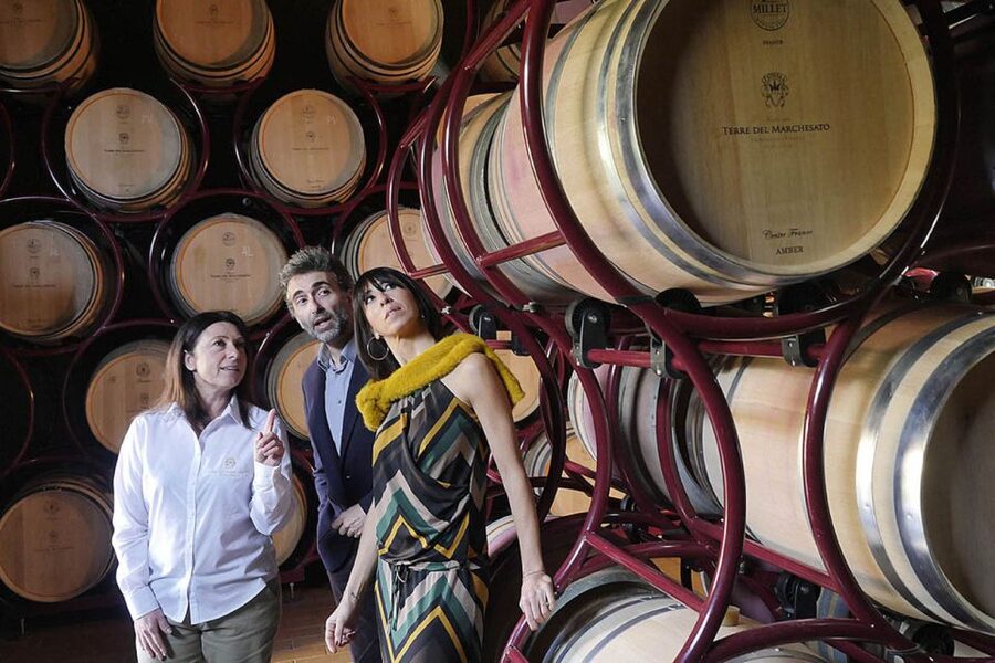 Bolgheri: Winery Tour with Wine Tasting - Why Terre del Marchesato is a good Bolgheri introduction