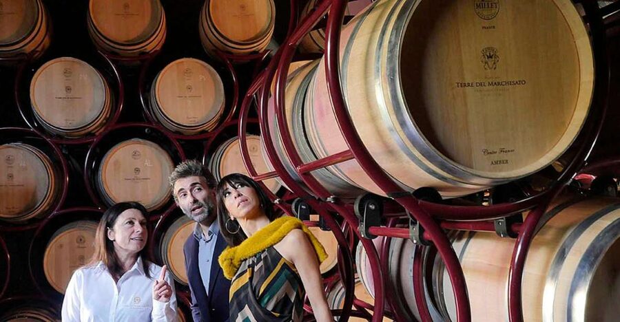Bolgheri: Winery Tour with Wine Tasting - Following the grape-to-glass process inside