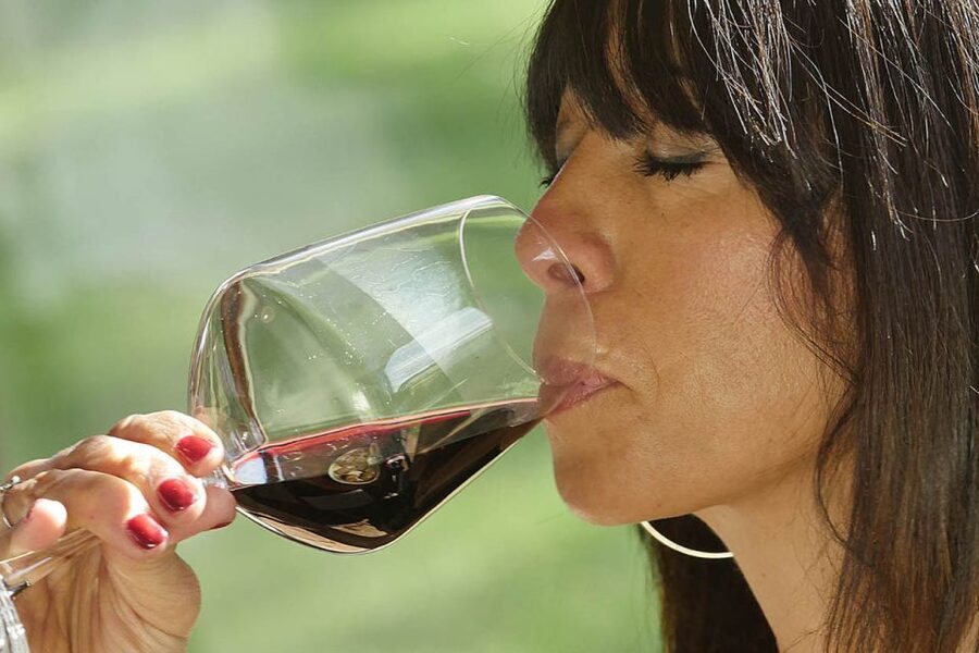 Bolgheri: Winery Tour with Wine Tasting - Choosing the right tasting: Classic, Sensorial, or Premium