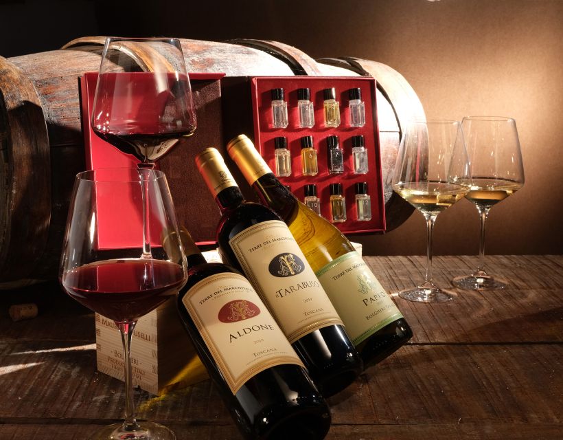 Bolgheri: Winery Tour with Wine Tasting - Is one hour enough for the $29 price?
