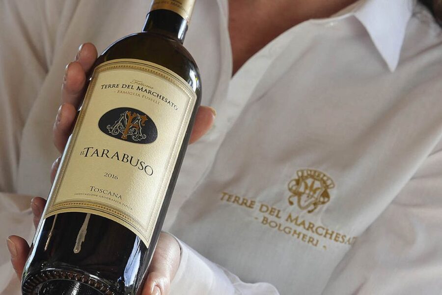 Bolgheri: Winery Tour with Wine Tasting - Getting there and fitting it into your day