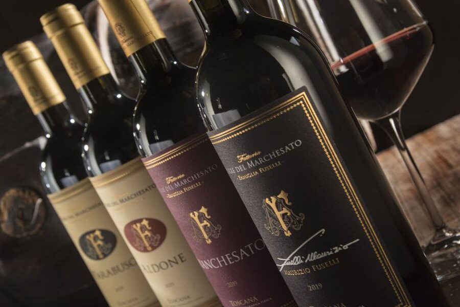 Bolgheri: Winery Tour with Wine Tasting - Starting among the vines
