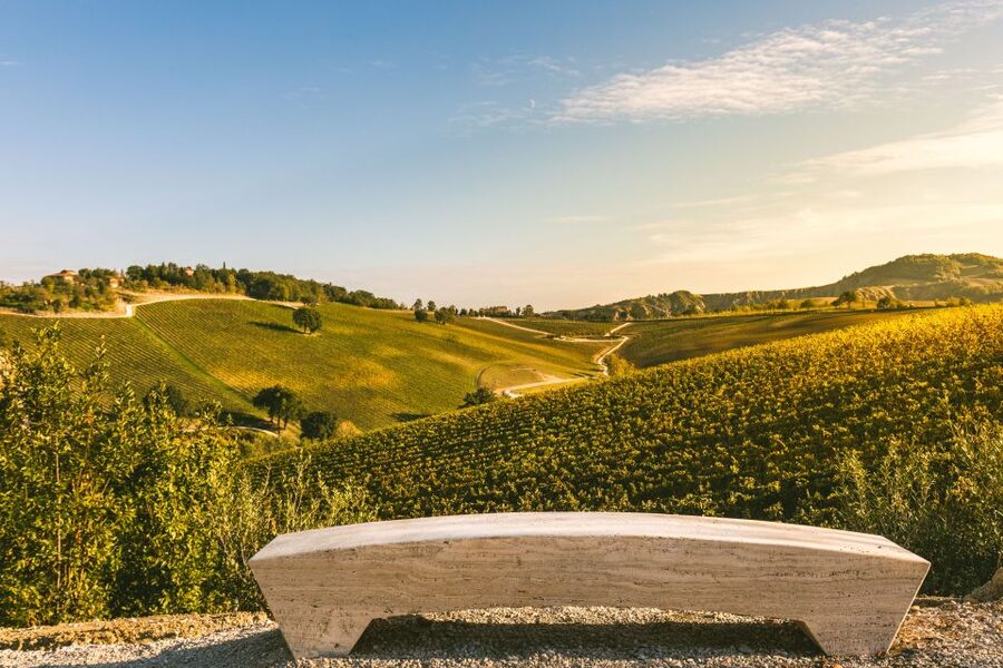 Bologna: Olive Grove and Vineyard Tour with Product Tastings - A working farm outside Bologna