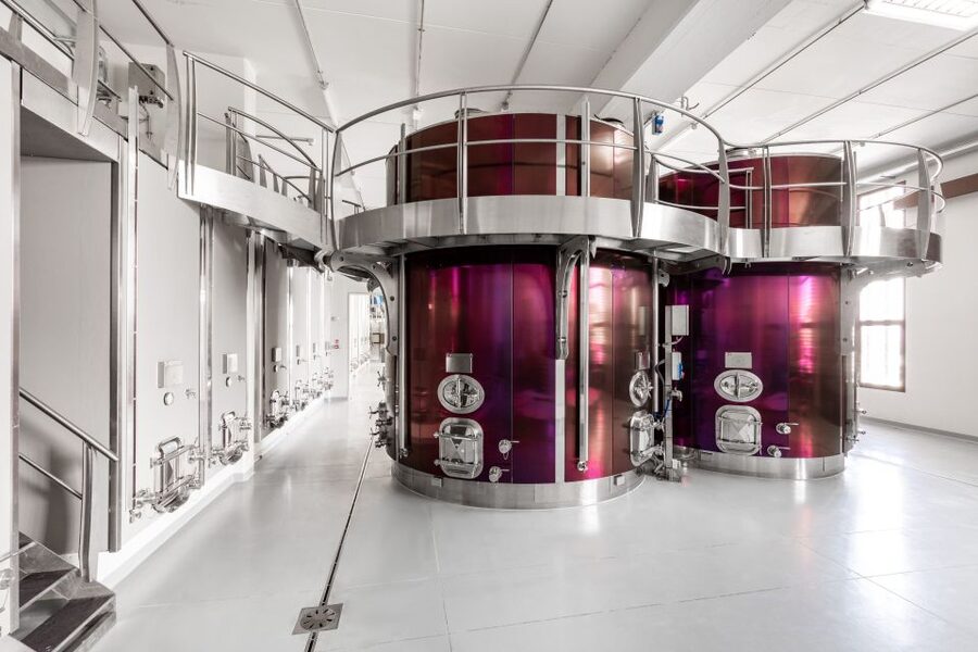 Bologna: Olive Grove and Vineyard Tour with Product Tastings - Learning how to taste the wine