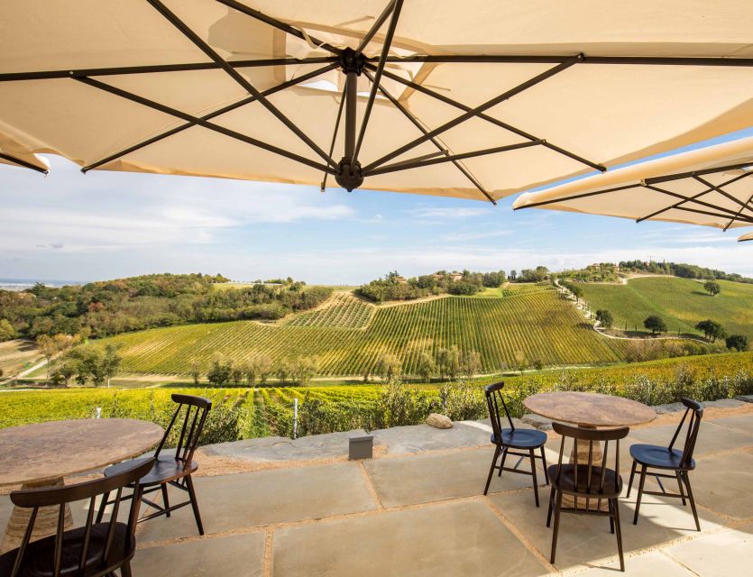 Bologna: Olive Grove and Vineyard Tour with Product Tastings - Local foods at the tasting table