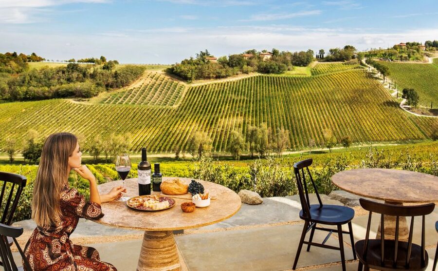 Bologna: Olive Grove and Vineyard Tour with Product Tastings - Gardens, orchard, saffron, and olive trees