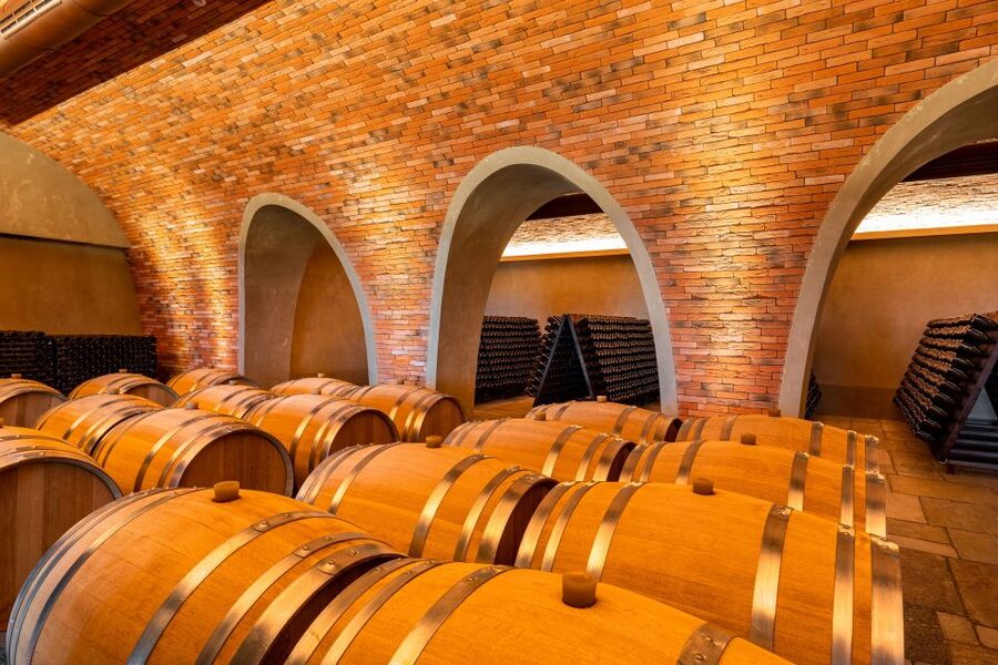 Bologna: Olive Grove and Vineyard Tour with Product Tastings - Who gets the best value at $20