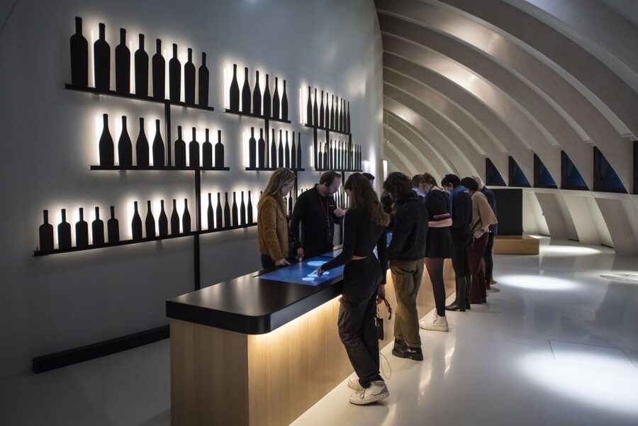 Bordeaux: Cité du Vin Entry Ticket and Wine Tasting - Who should book this experience?