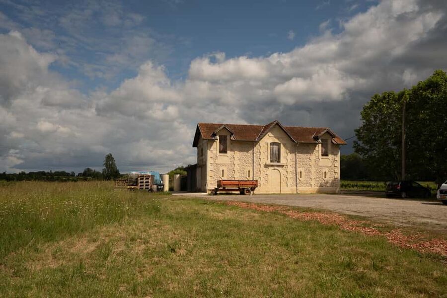 Bordeaux: Explore an Organic Family Vineyard with Tasting - The tasting: dry whites, sweet wines, rosé, reds, and bubbles