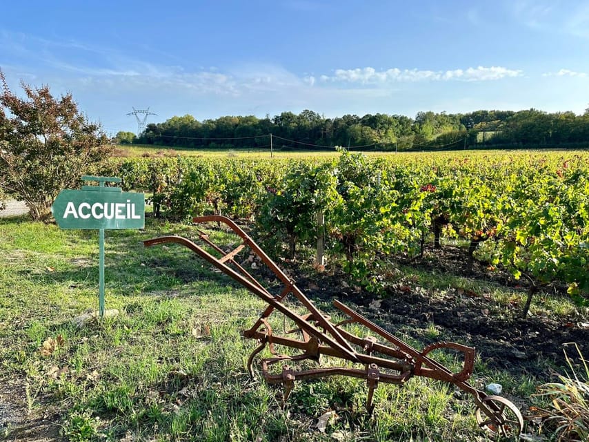 Bordeaux: Explore an Organic Family Vineyard with Tasting - The $21 price and what you receive
