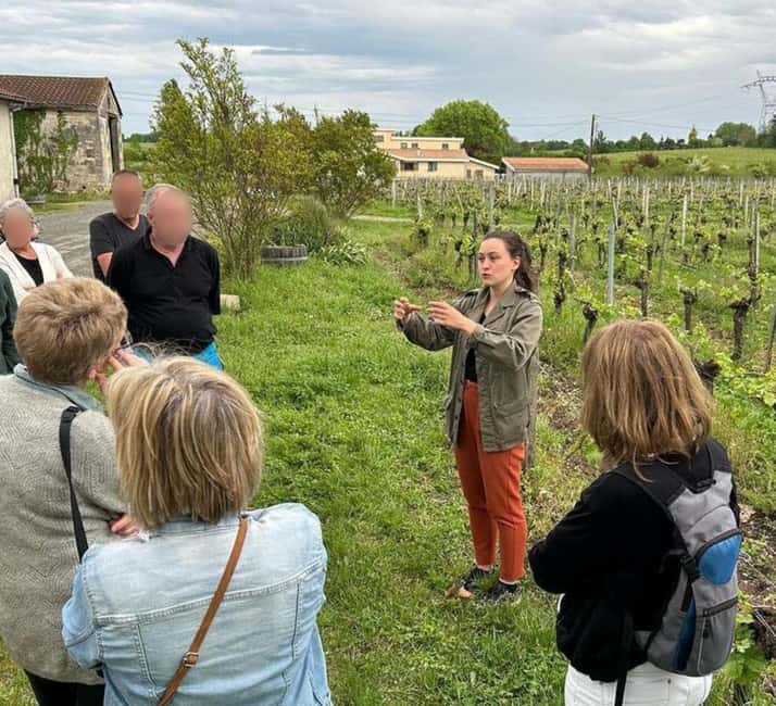 Bordeaux: Explore an Organic Family Vineyard with Tasting - Who will enjoy Pestoury Vineyard most