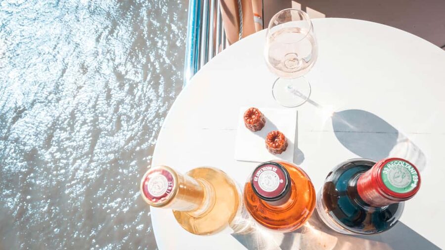 Bordeaux: Guided Wine and Canelé Discovery Cruise - How the guide affects the experience