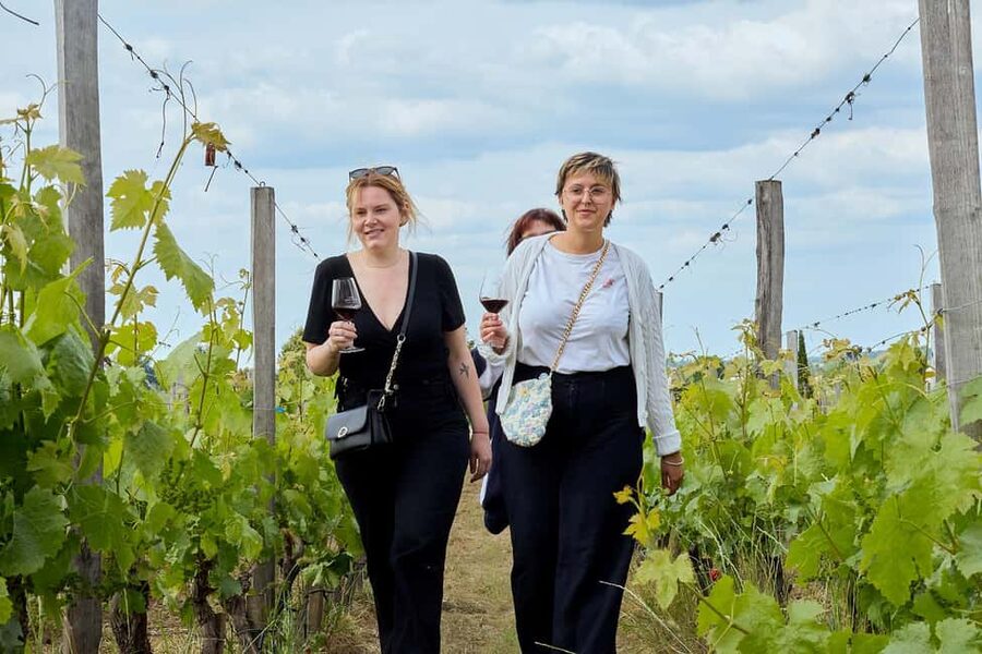 Bordeaux: Half-Day Margaux Tour with Wine Tastings - How good is the value at $106?