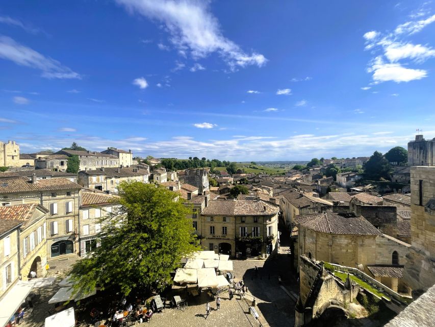 Bordeaux: St-Emilion Vineyards e-Bike Tour with Wine & Lunch - Key points to know before booking