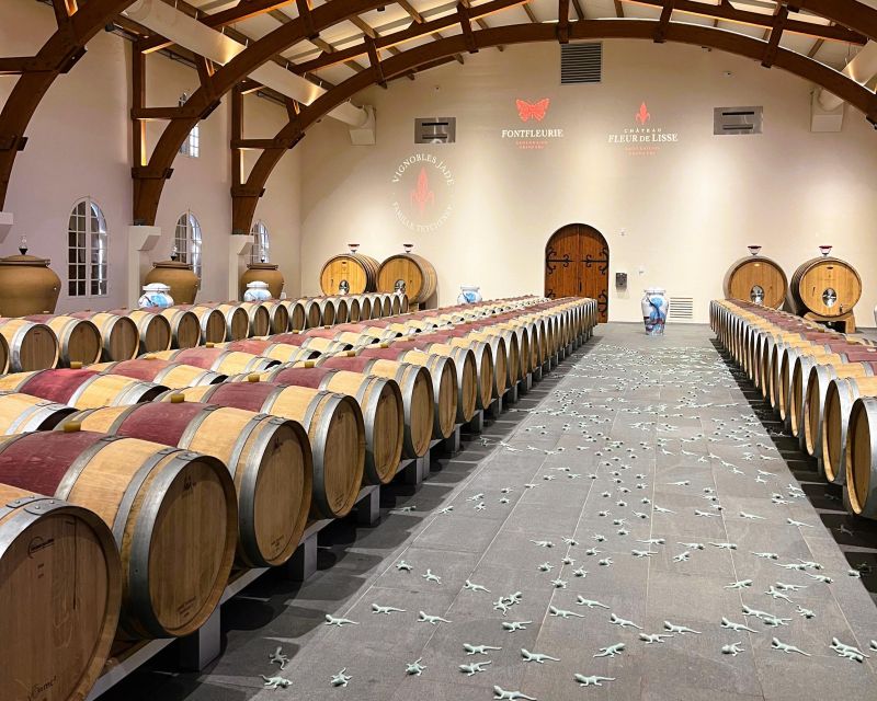 Bordeaux: St-Emilion Vineyards e-Bike Tour with Wine & Lunch - A château picnic with wine and regional food