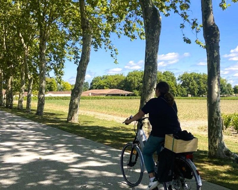 Bordeaux: St-Emilion Vineyards e-Bike Tour with Wine & Lunch - What the 510-minute day feels like