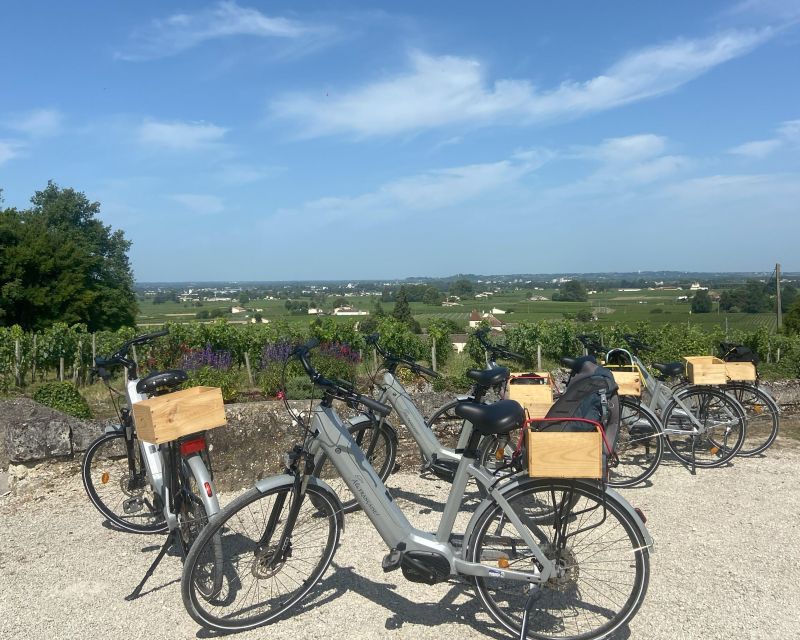 Bordeaux: St-Emilion Vineyards e-Bike Tour with Wine & Lunch - Who will enjoy this day most