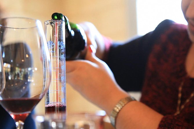 Bordeaux Super Saver Wine Tasting class and St Emilion region - Two château visits and the wines in the glass