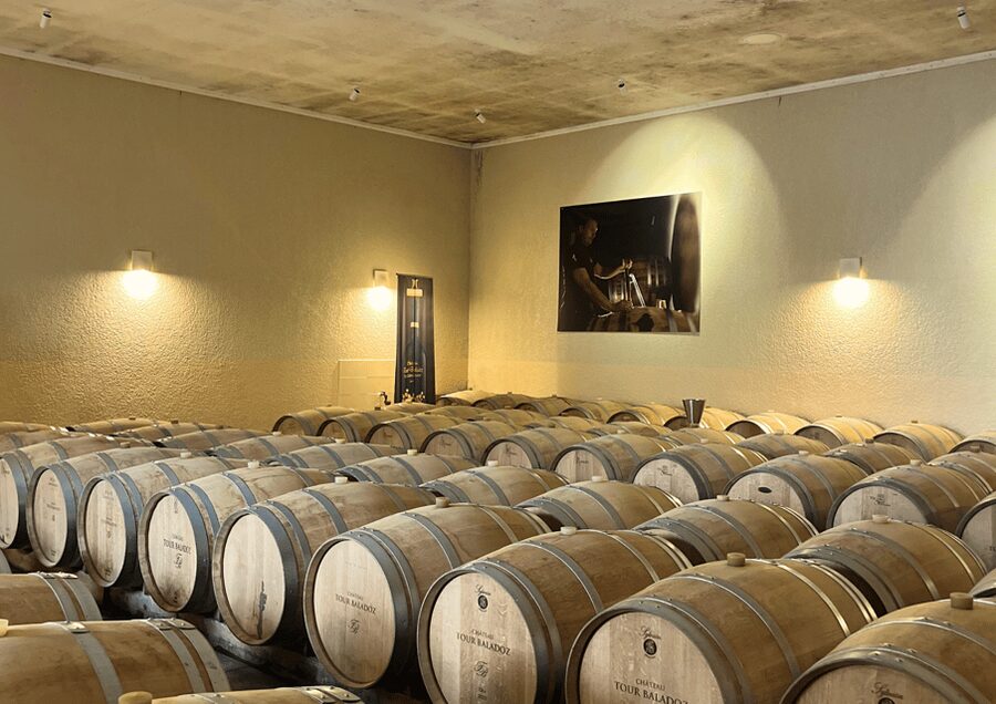 Bordeaux : Unforgettable Saint Emilion Half Day Wine Tour - Meeting at Quinconces Square
