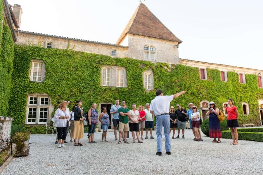 Bordeaux: Vineyards Wine Tasting Half-Day Trip - Why this half-day tour works well from Bordeaux
