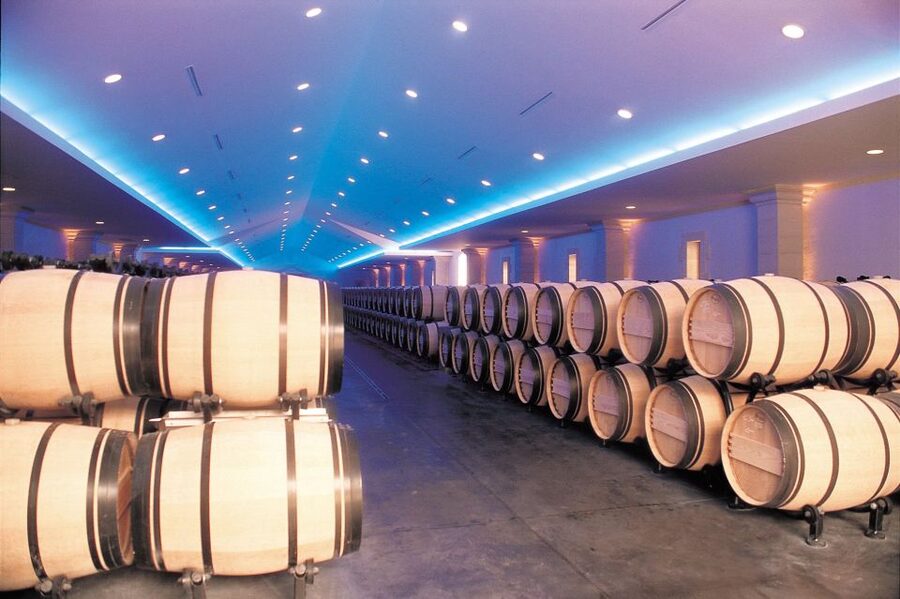 Bordeaux: Vineyards Wine Tasting Half-Day Trip - Blaye and Bourg: a fortress with your wine
