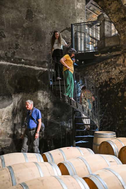 Bordeaux: Vineyards Wine Tasting Half-Day Trip - Transport, timing, and comfort