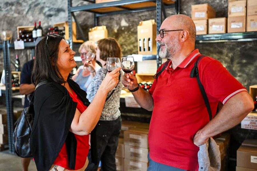 Bordeaux: Vineyards Wine Tasting Half-Day Trip - Is $68 a good value?