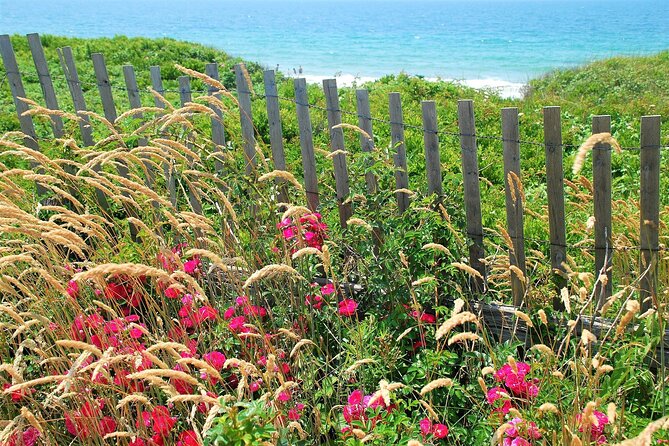 Boston to Martha's Vineyard Day Trip with Optional Island Tour - How much value do you get for $129?