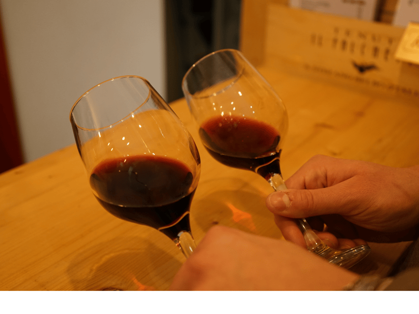 Boutique Wine Tasting in Turin City Center - Who will enjoy this most