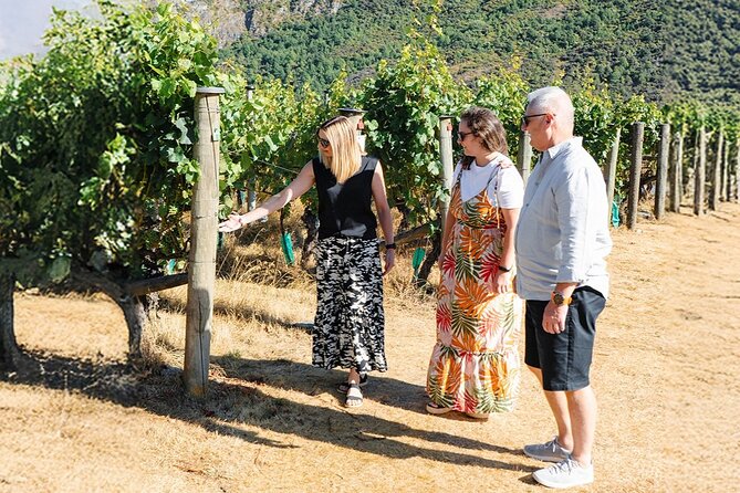 Boutique Wine Tour - visit Central Otago, 4 Wineries & Lunch - The small-group format and guide quality