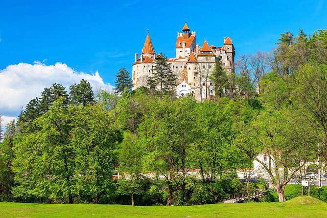 Bran (Dracula) Castle, Bear Sanctuary, Rasnov Fortress & Palinca Distillery - Key points to know before booking