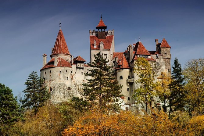 Bran (Dracula) Castle, Bear Sanctuary, Rasnov Fortress & Palinca Distillery - Why this Transylvania day trip works