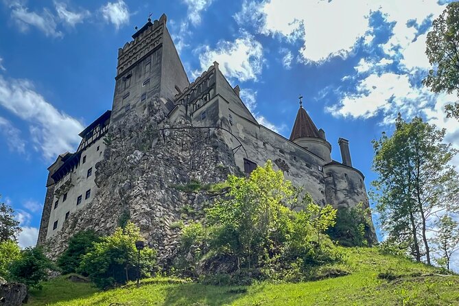 Bran (Dracula) Castle, Bear Sanctuary, Rasnov Fortress & Palinca Distillery - Who should book this outing