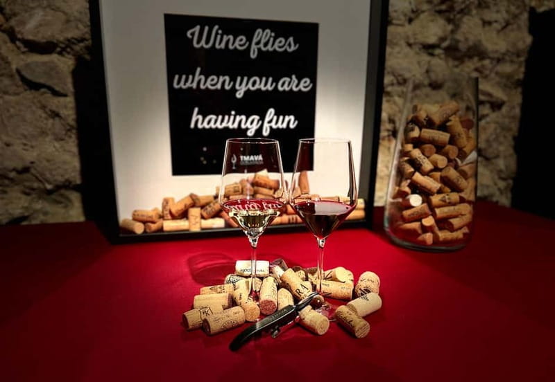 Bratislava: Wine Tasting Experience in the Dark - What makes the Bratislava wine tasting unusual