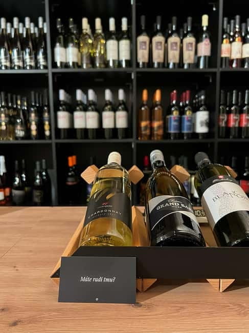 Bratislava: Wine Tasting Experience in the Dark - Arriving at the cellar on Michalská 3
