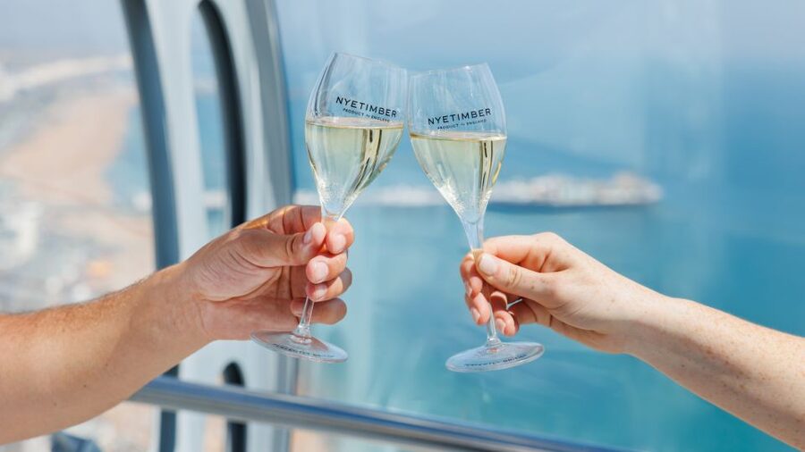 Brighton: i360 Entry & Champagne (Soft Drink for Under 18s) - Brighton from above, without a long climb