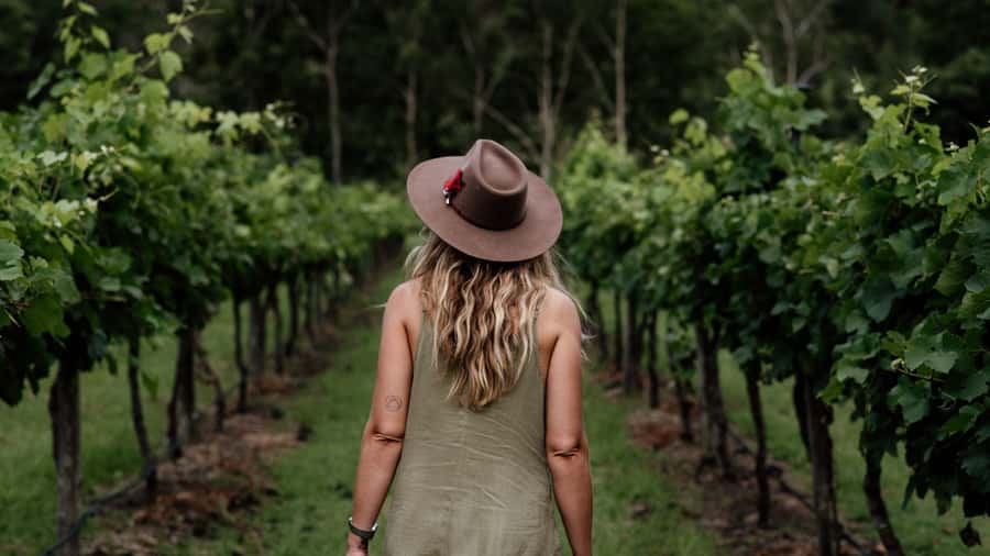 Brisbane: Boutique Winery Tour with Gourmet Lunch - Why this Tamborine Mountain day works