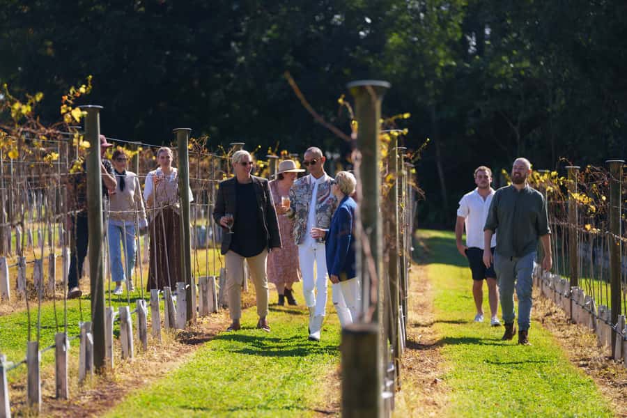 Brisbane: Tamborine Wine & Distillery Tour - A scenic lookout and the mountain setting