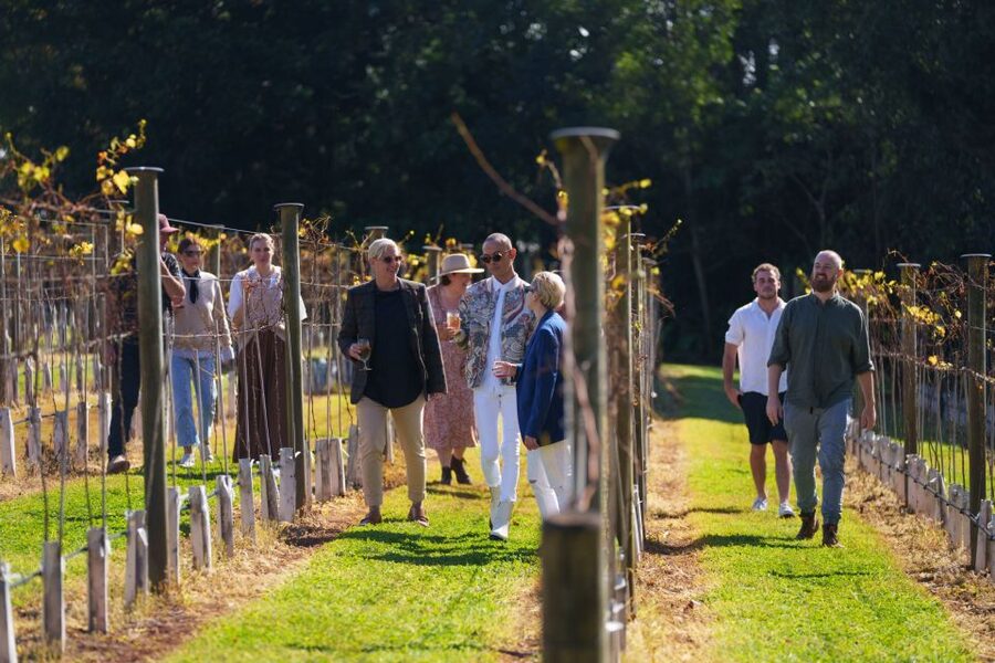 Brisbane: Tamborine Wine & Distillery Tour - A day shaped by the guide