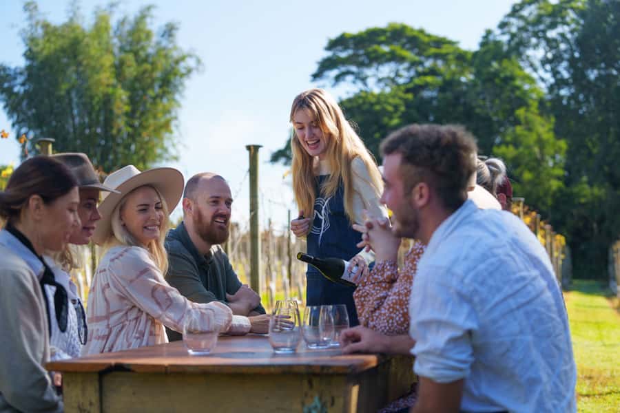 Brisbane: Tamborine Wine & Distillery Tour - Two Tamborine wineries and a useful range of tastes